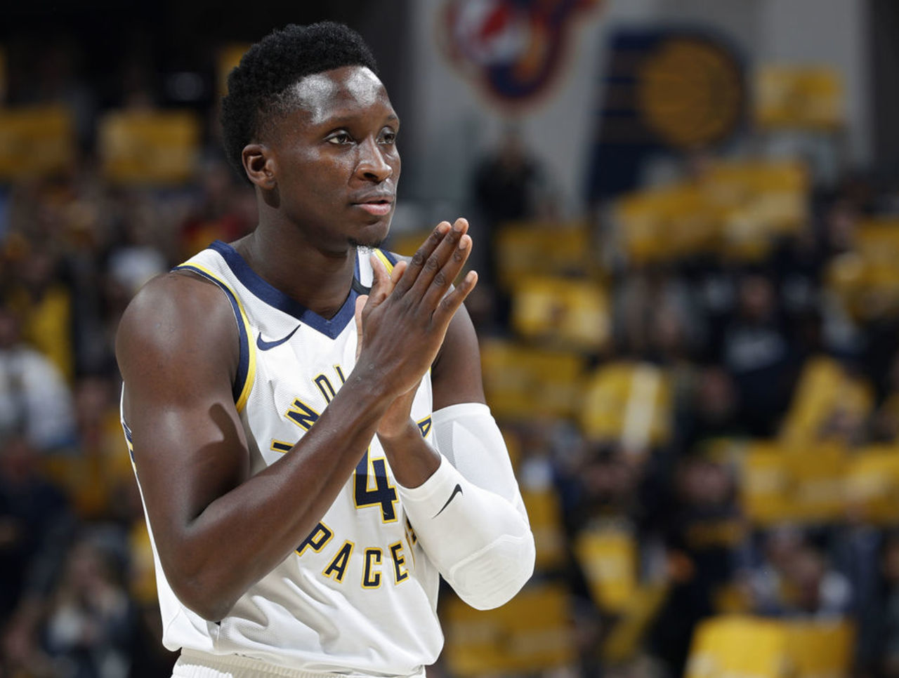 美的自然环 美的自然环