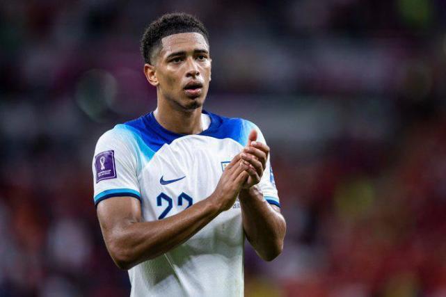 的年轻人树 的年轻人树