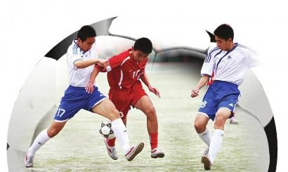 状元弹性 状元弹性